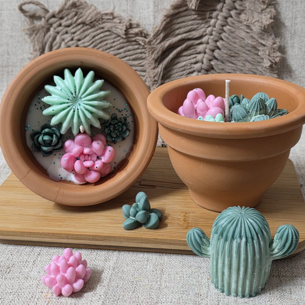 Buitenkaars | Cactus Oase | LVK